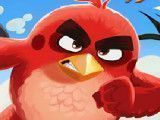 Angry Birds encontrar erros