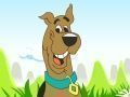 Vestir Scooby Doo