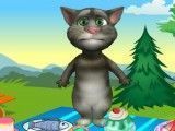 Tom gato virtual piquenique