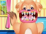 Cachorro cuidados com dentes
