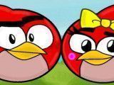 Pintar casal Angry Birds