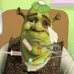 Cuidar do Shrek na ambulância