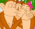 Casal de macacos se beijarem