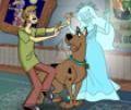 Disfarçar Scooby Doo e Salsinha com roupas