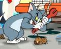 Erros do Tom e Jerry