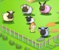 Jogo de ovelhas